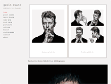 Tablet Screenshot of gavinevans.com